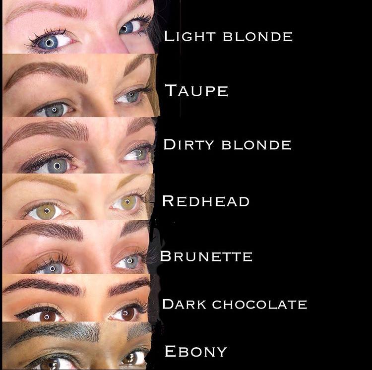 PMU - EYEBROW SET - WAVERLY COLOR
